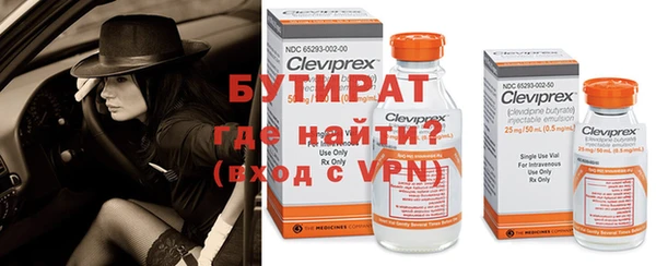 дживик Няндома