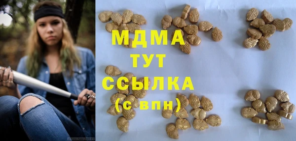 дживик Няндома