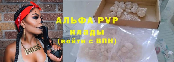дживик Няндома
