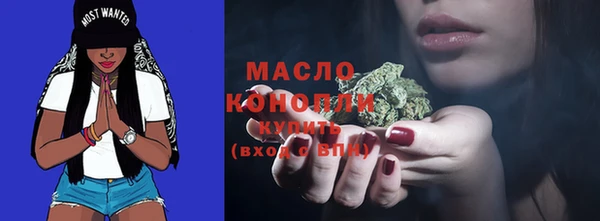 дживик Няндома