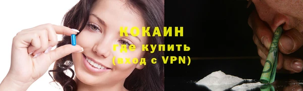 дживик Няндома