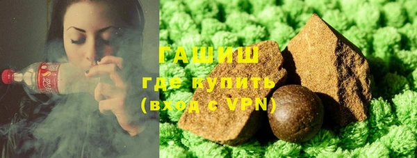 дживик Няндома