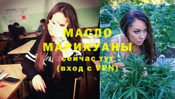 дживик Няндома