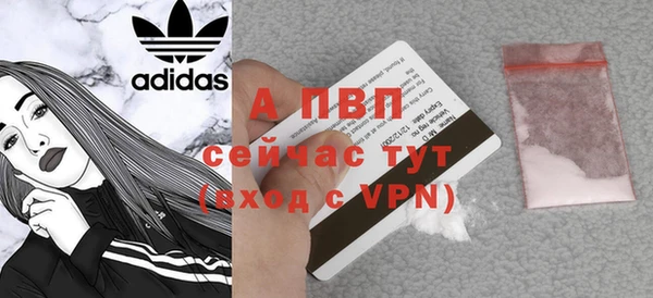 дживик Няндома