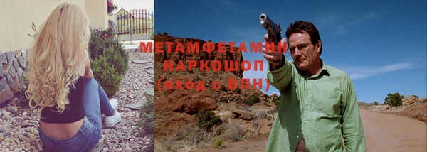 дживик Няндома