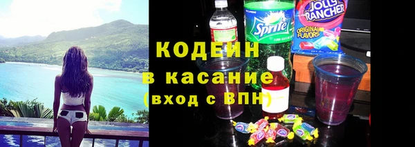 дживик Няндома